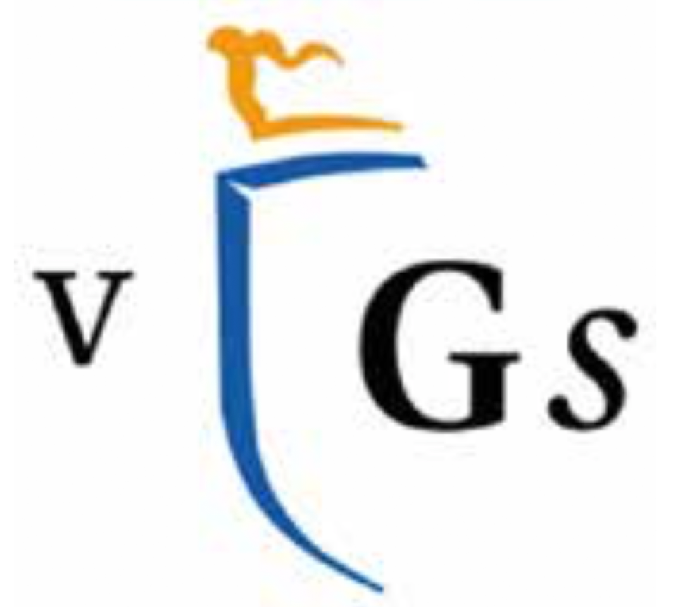 Logo VGS, naar website
